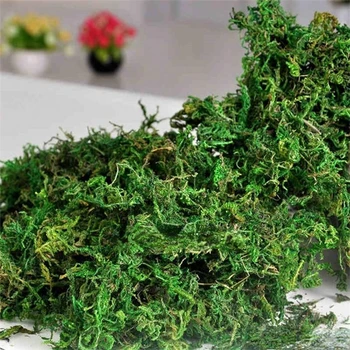500g/saco Manter seco real musgo verde plantas ornamentais vaso de relva artificial de seda Flor acessórios para o vaso de flores decoração