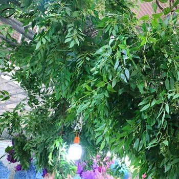Artificial Salgueiro videira falso planta para a decoração do Casamento de plantas artificiales falso folhas garland vime lierre artificiel