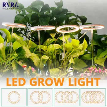 LED Cresce a Lâmpada de Luz Planta Completa do Espectro USB DC5V Crescimento Anjo de Luz Anéis de Crescimento de Plantas de Luz Crescente da Lâmpada Para o Interior de Plantas de Erva