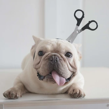 [MPK Loja de Halloween Bulldog francês Cão de Chapelaria, Engraçado Cão Mascote
